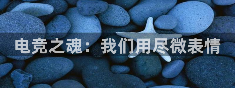 火博电竞官网入口：电竞之魂：我们用尽微表情