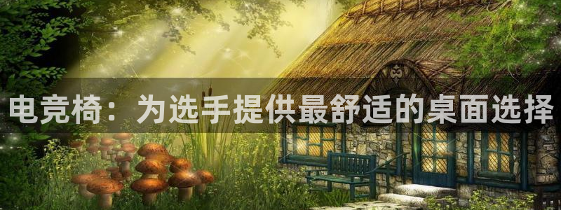 火博电竞官网入口：电竞椅：为选手提供最舒适的桌面选择