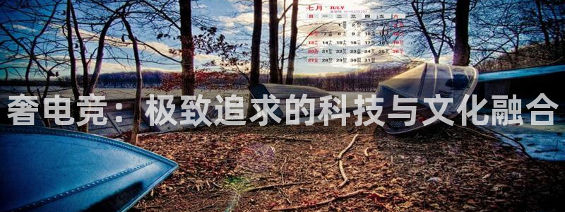 火博电竞app官网网站：奢电竞：极致追求的科技与文化融合