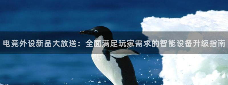 火博电竞网站：电竞外设新品大放送：全面满足玩家需求的智能设备升级指南