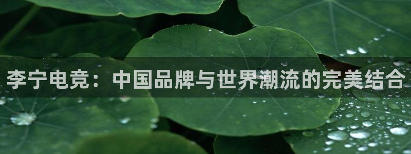 火博电竞网站：李宁电竞：中国品牌与世界潮流的完美结合