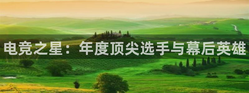 火博电竞app官网网站：电竞之星：年度顶尖选手与幕后英雄